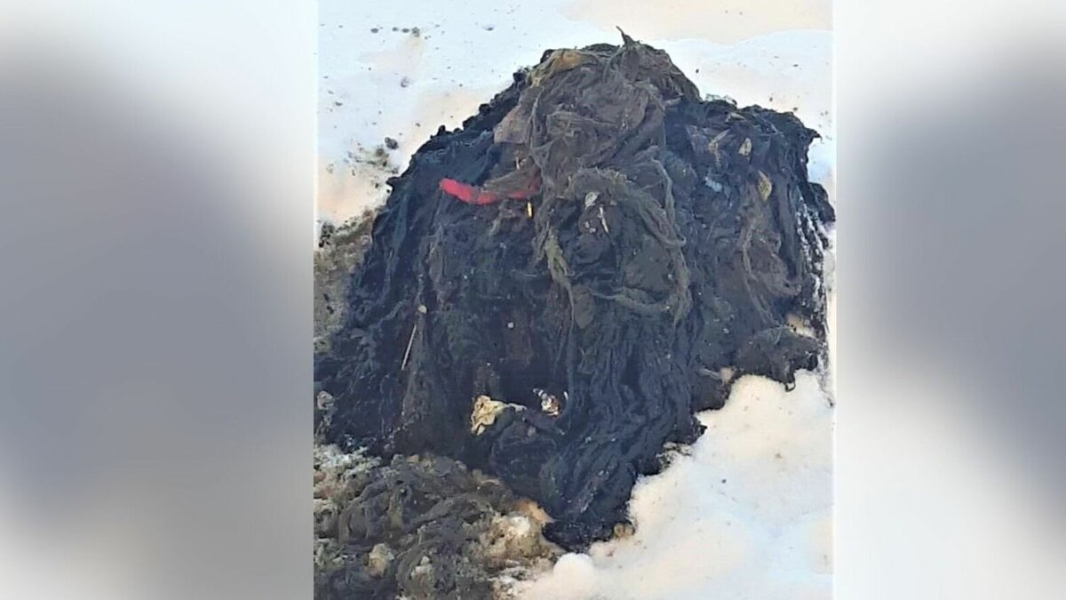     Горожанам напомнили, что выброс бытового мусора в унитаз приводит к неприятным последствиям.