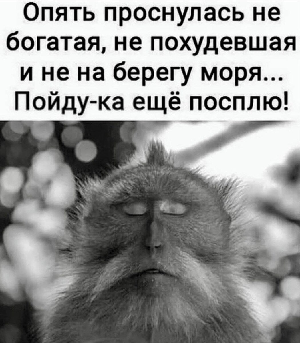 Опять понедельник😪