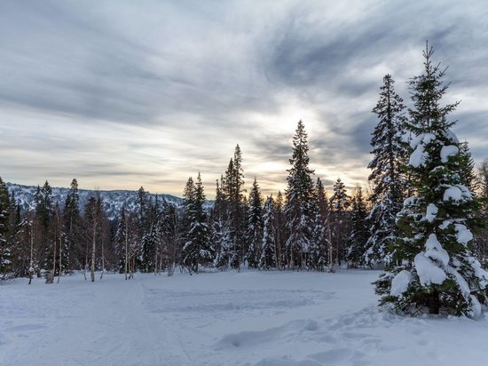     Фото: Дмитрий Куткин