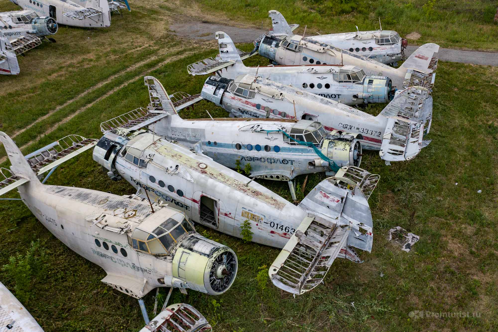 Нашёл за гаражами аккуратное кладбище самолётов Ан-2. Красиво конечно, но много вопросов ✈️⚰️?9