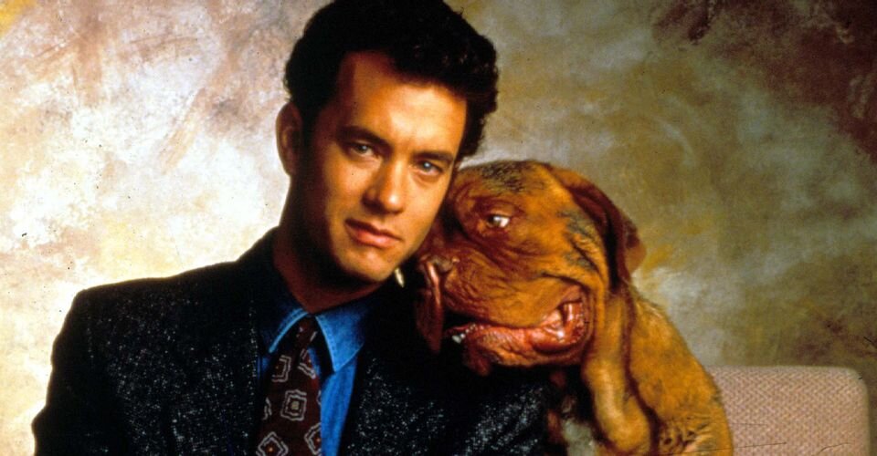 тёрнер и хуч порода собаки. том хэнкс тернер и хуч. тернер и хуч качество. тернер и хуч собака. мэр уиннингэм тернер и хуч.