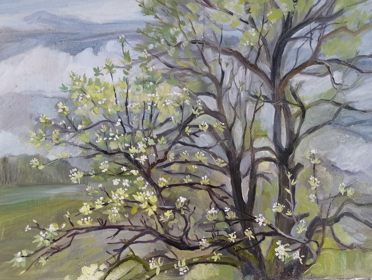 Фото автора. Тяглова Н.В. "Дождливая весна".