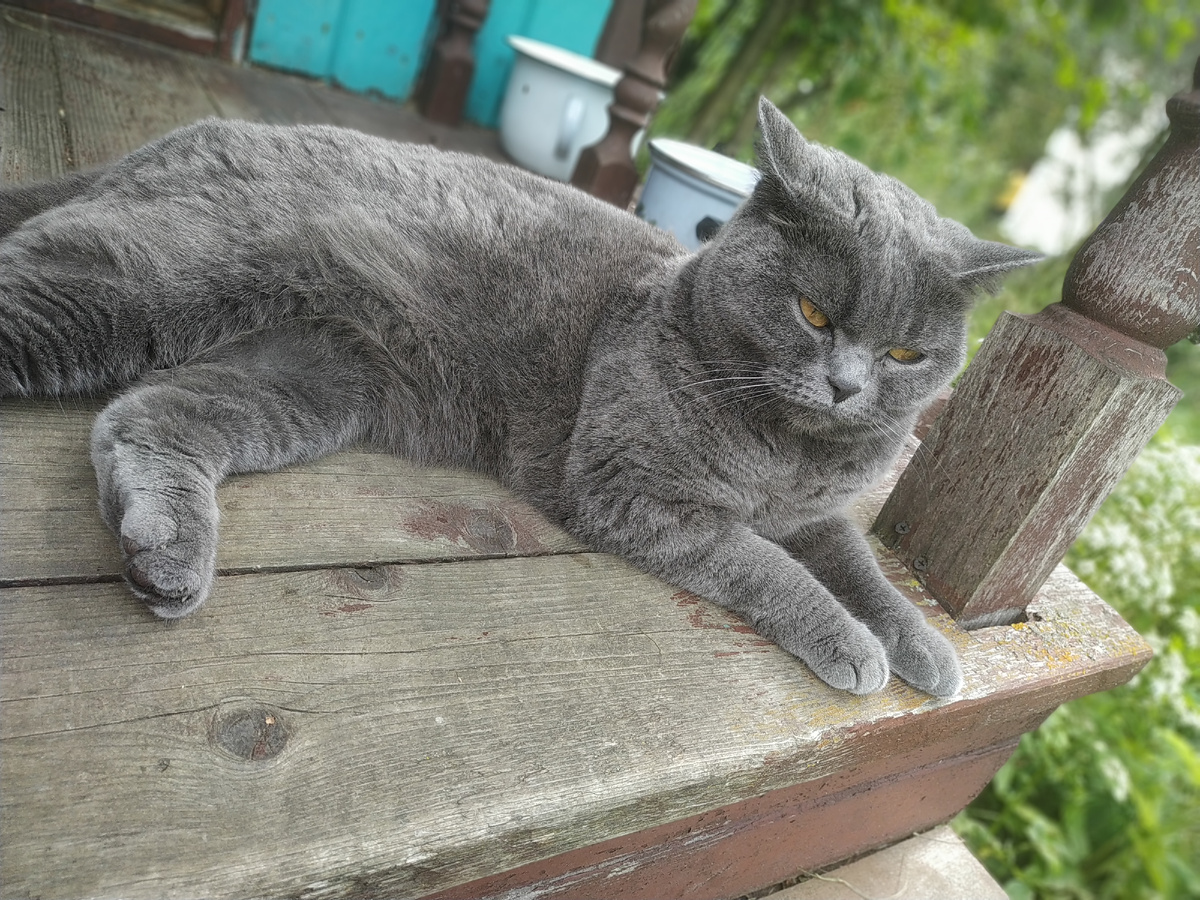 Кто на меня?