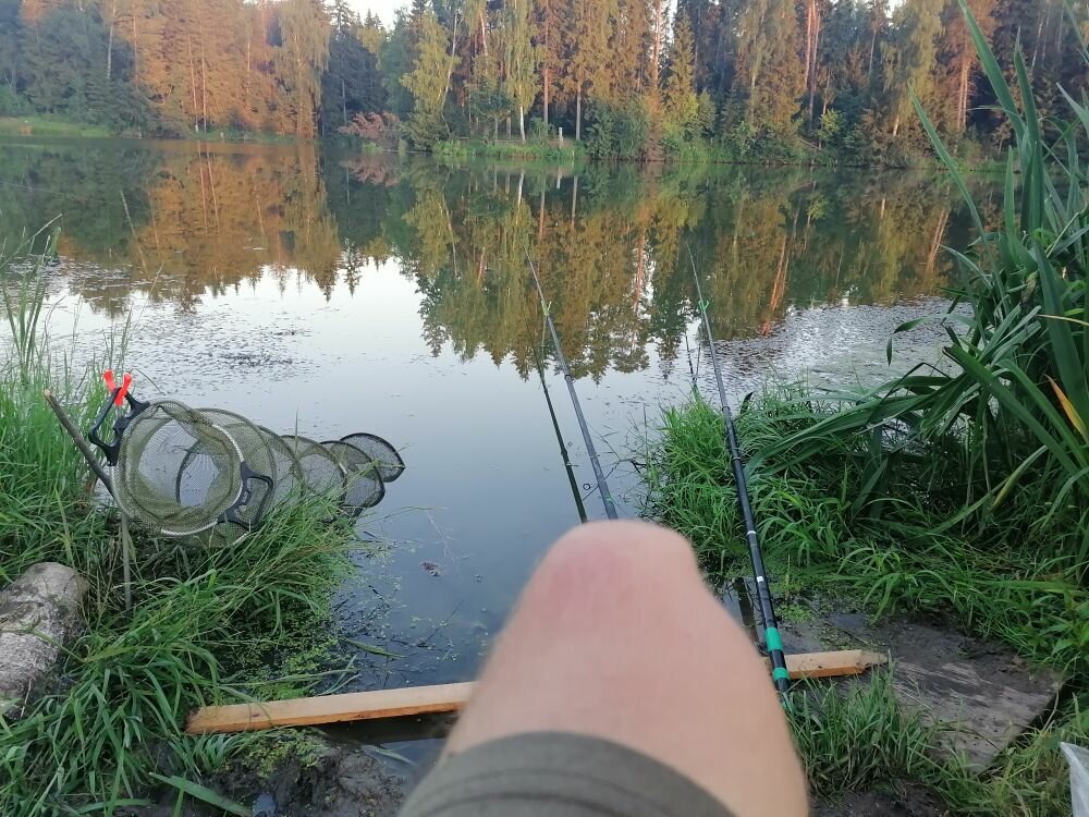 Муж ловит на 2 удилища, а я еле справляюсь с одной удочкой, клюет на убой.