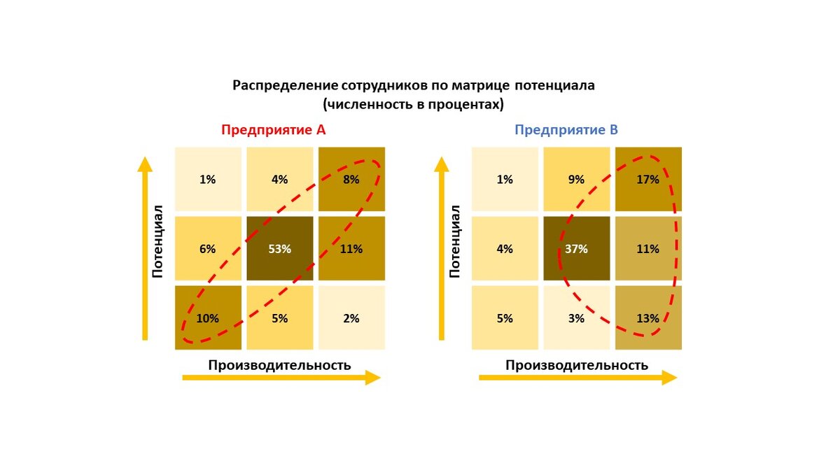 Узнайте свой потенциал в организации и свои карьерные перспективы |  Гипермышление | Дзен