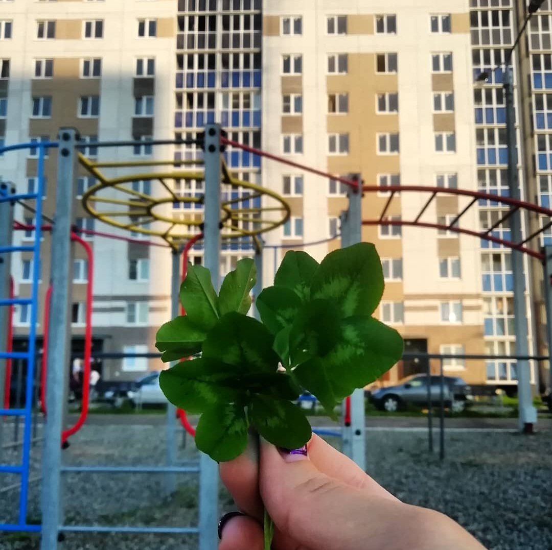 ЖК "Ясная Поляна". Все планировки и цены на сайте yasno12.ru