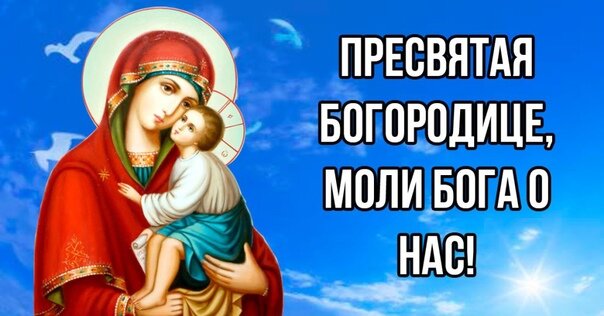 Яндекс. Картинки