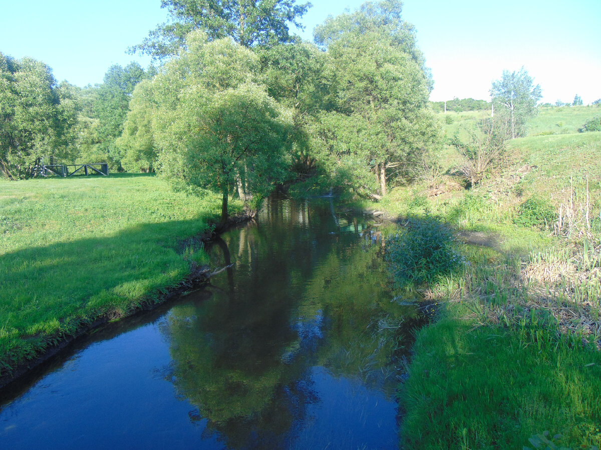 фото автора канала