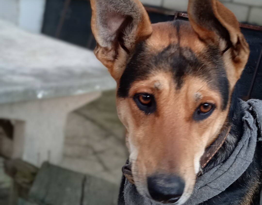 фото из личного архива