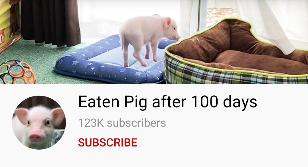 123 тысячи подписчиков на канале.