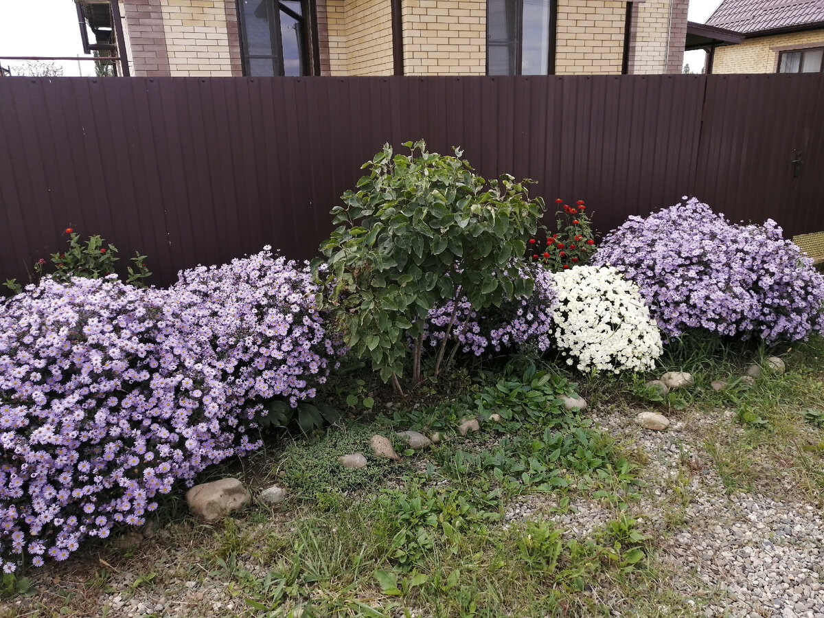 мои сентябринки