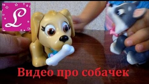 Учить трюкам собаку иллюстрация. Разбор бегунка на молнии. Ремонтный комплект для молнии слайдера. Собака гав-гав карточка. Пуллер для молнии a4.