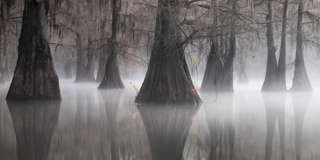 Фото: Joshua Hermann, thepanoawards.com