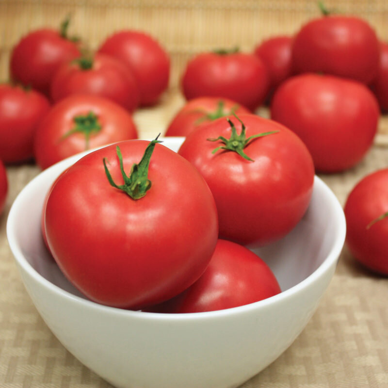 Урожай томатов