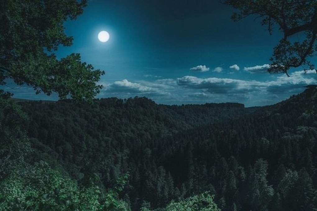 Последнее полнолуние года, самое мощное время для ритуалов на прибыль, деньги, успех