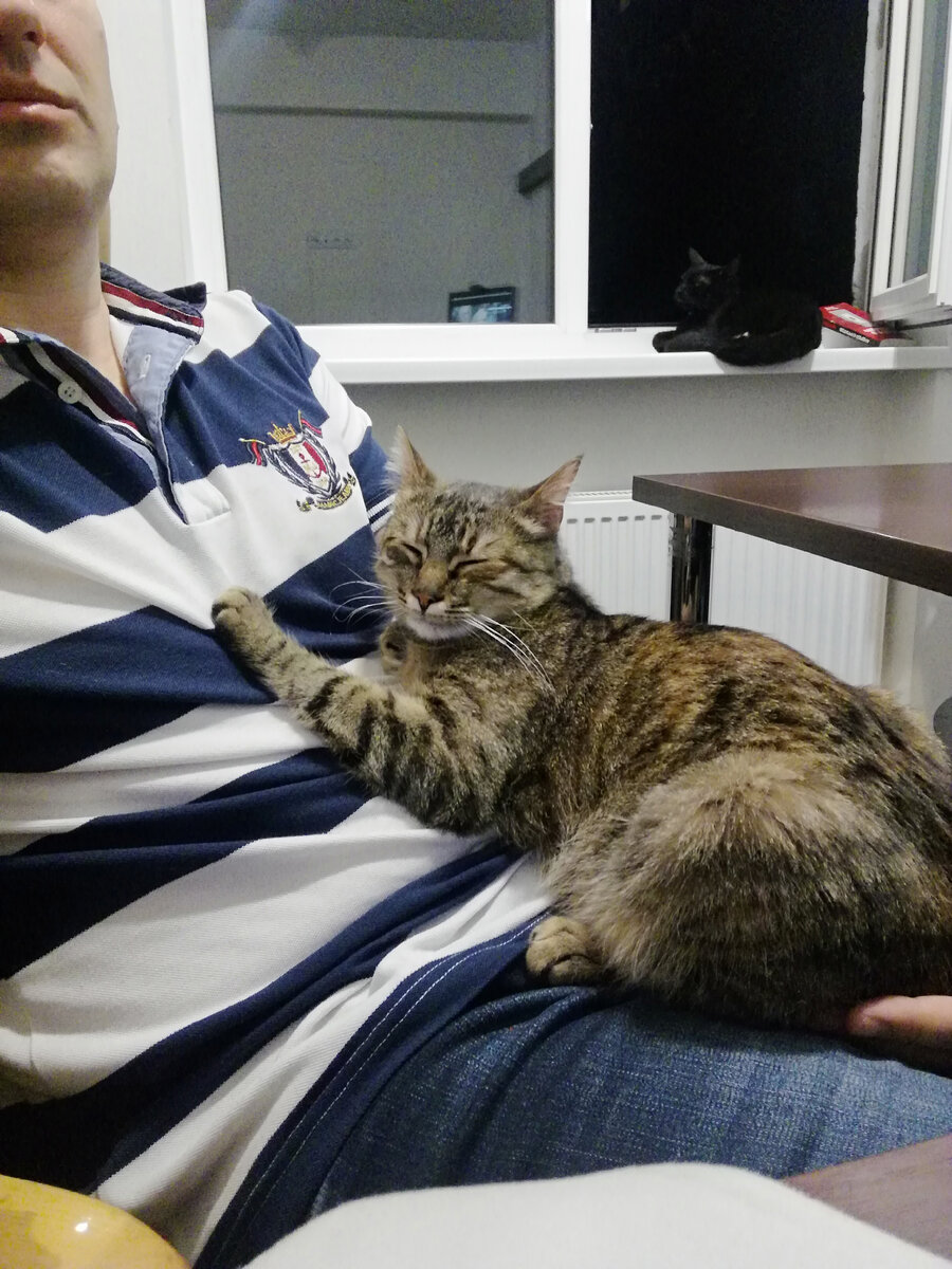 Это Ася, спит на мне