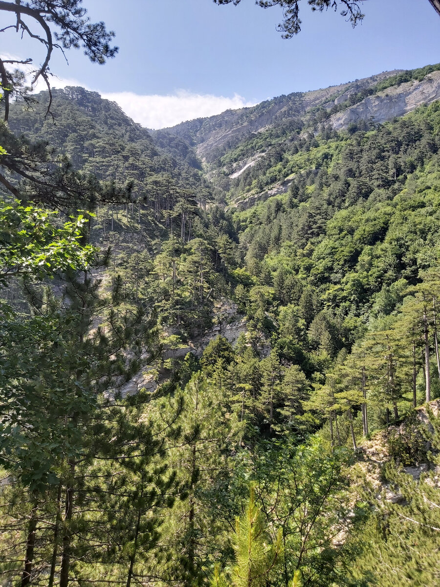 Ущелье Учкош