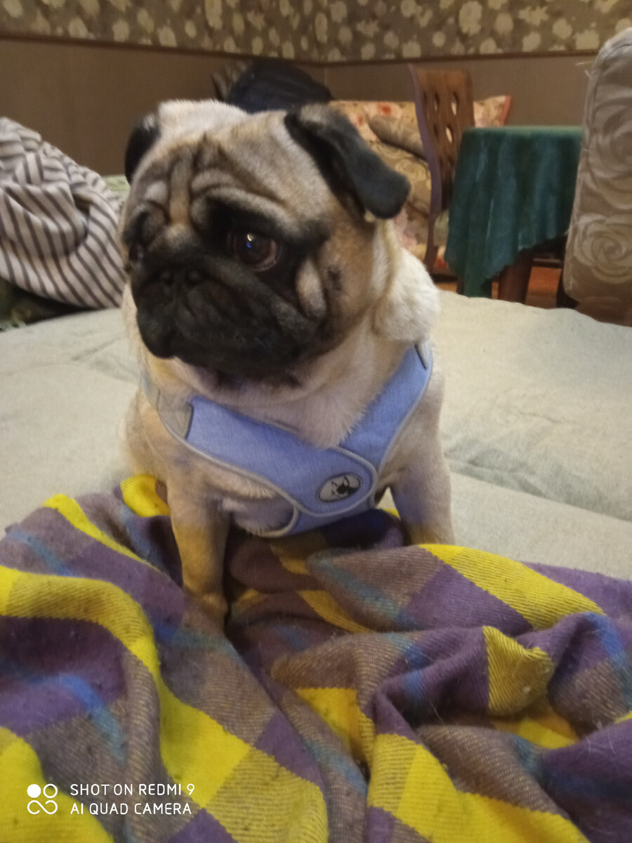 Грустилка...