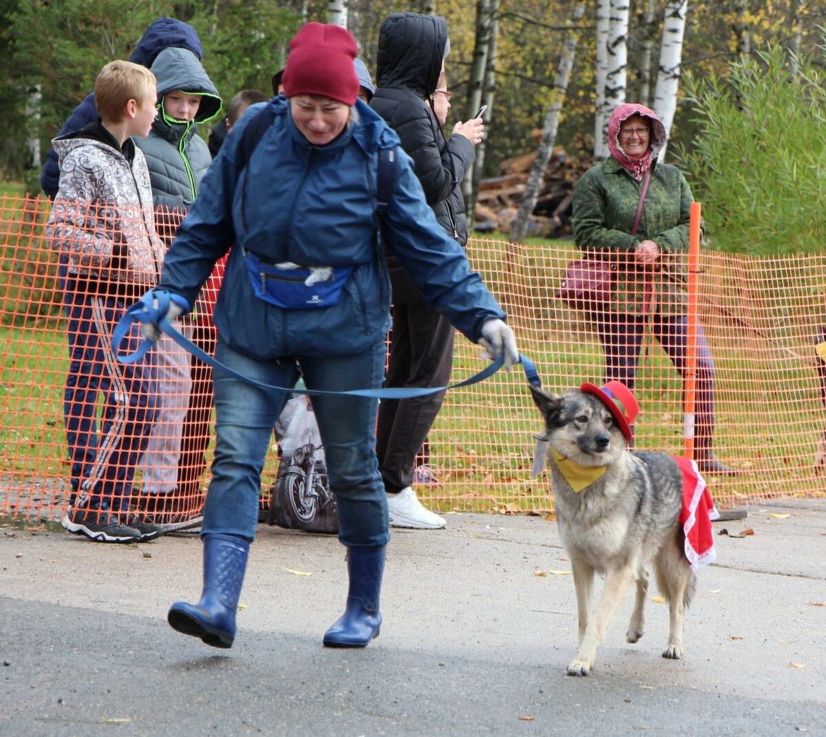 В галерее 6 фотографий с нашей выставки собак. Волонтеры держат собак за поводок в левой руке.  Ольга и Серка
