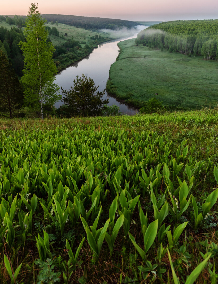 Свежий рассвет на Немде