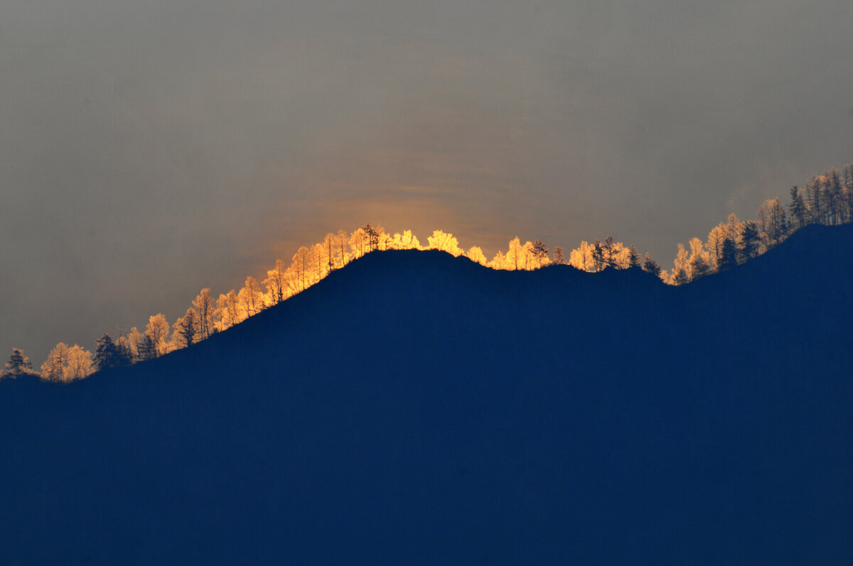 Фото Ольга Шадрина