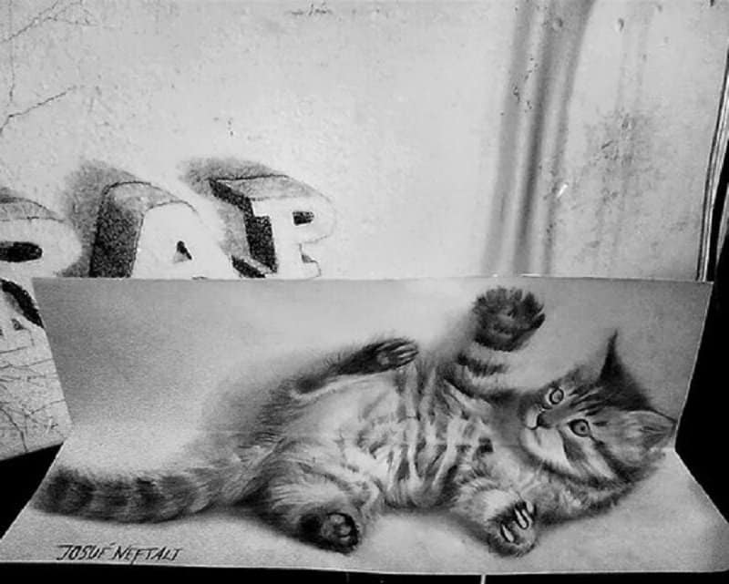 Котик 3д рисунок