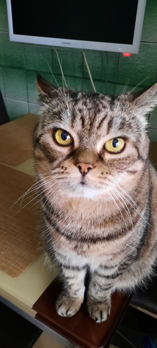 Это наша Нора.