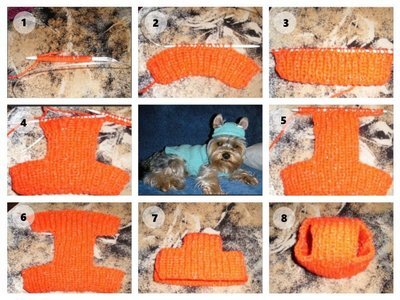 Шапулька для собаки - Вязание - Страна Мам