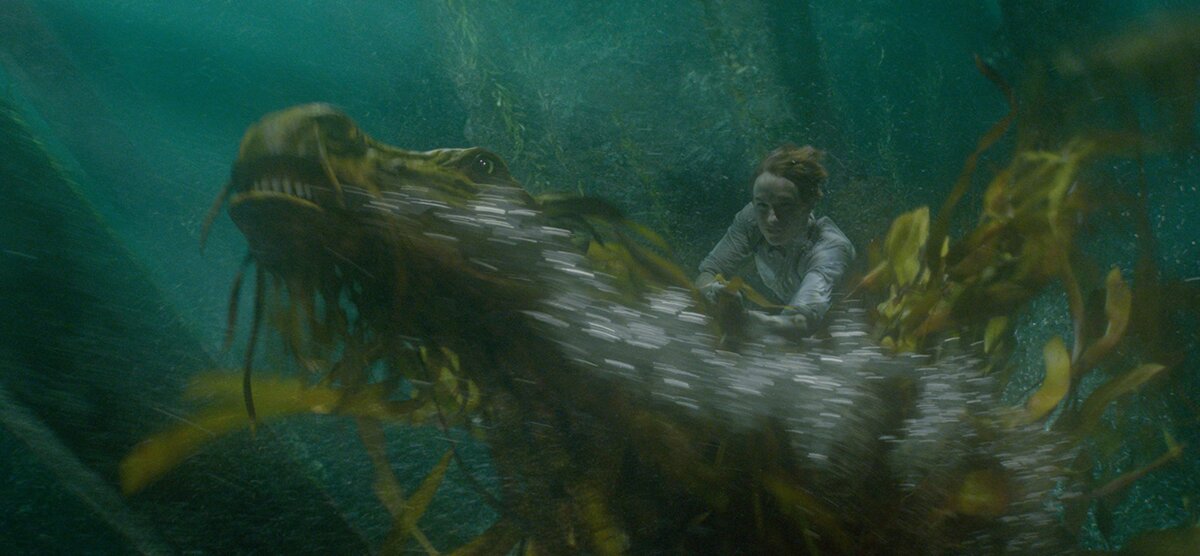 Изображение из интернета