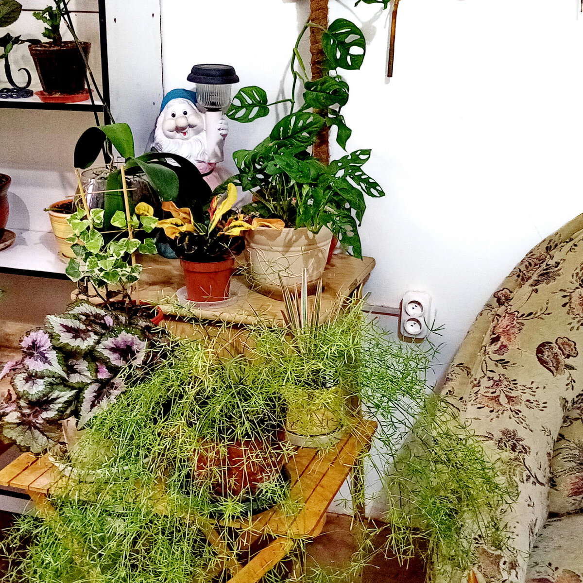 Чудесный компаньон-мой глиняный гном. Стоит тихонечко и улыбается.)))