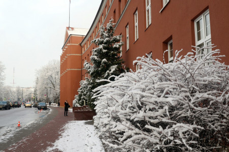 Фото rugrad