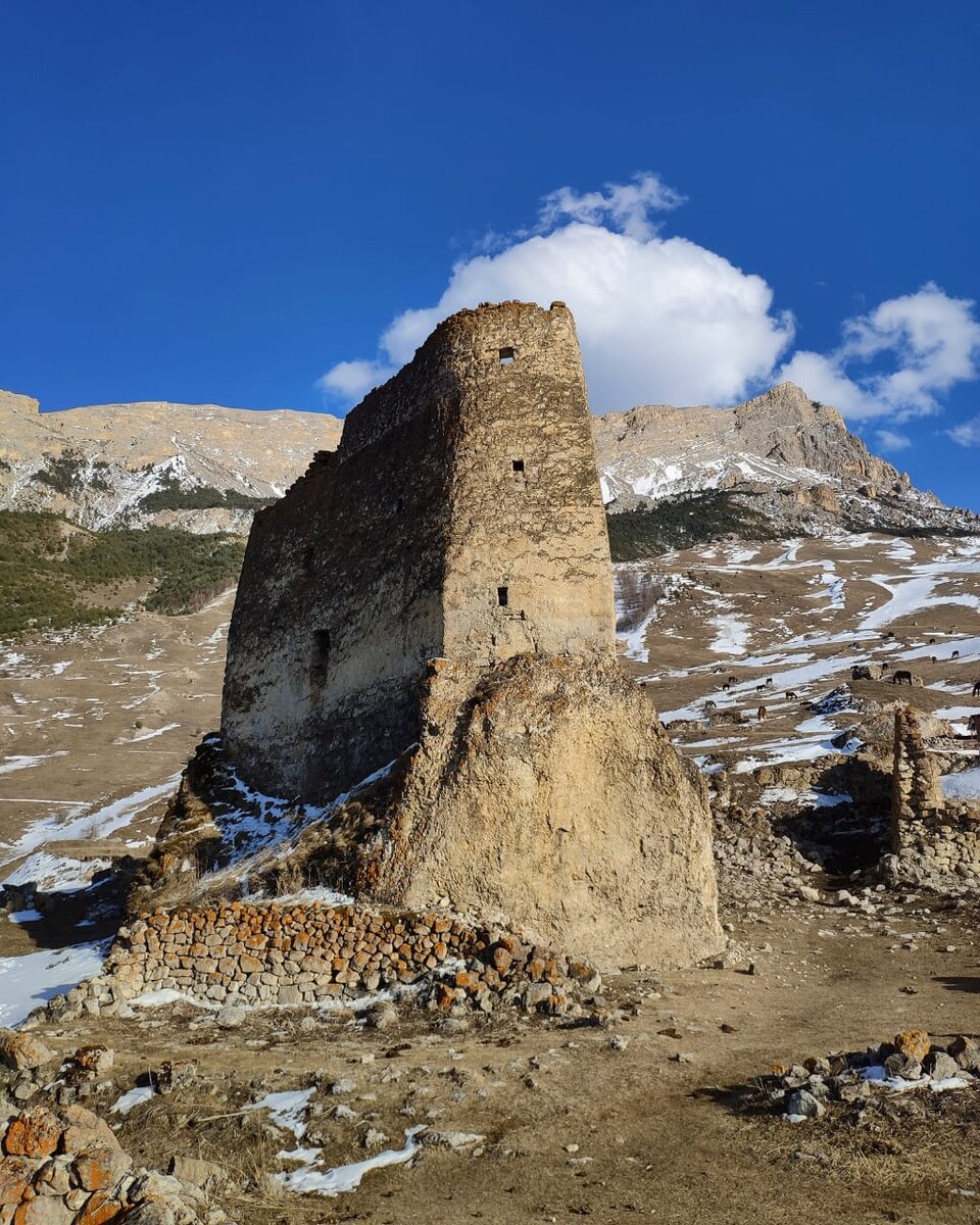 Собачья гора Осетия