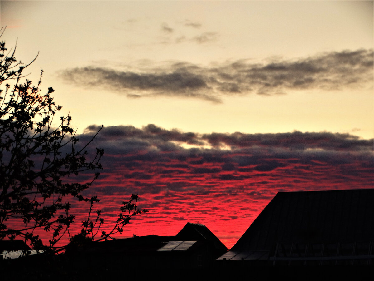 Майское утро в деревне время 3-45 