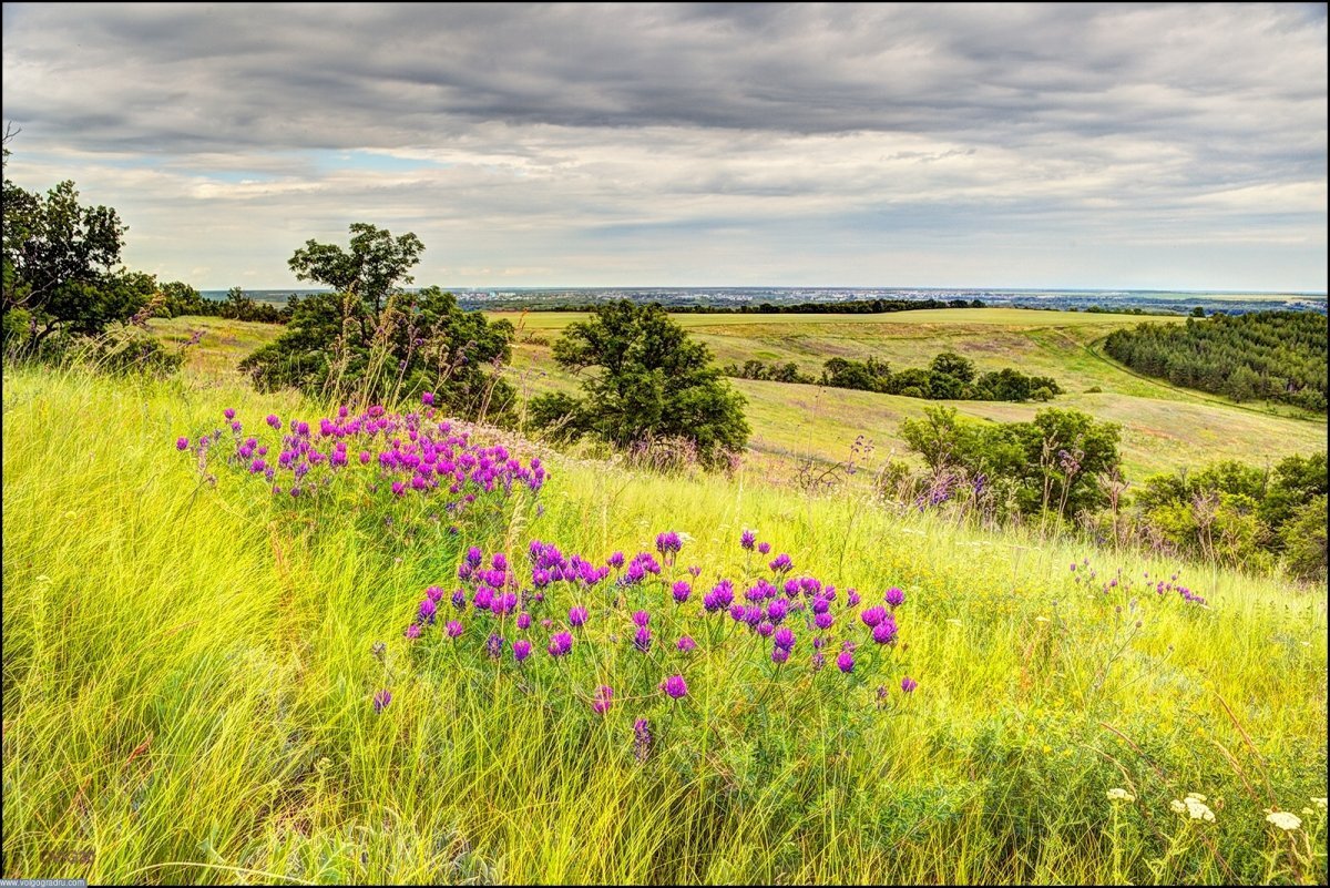 Взято из свободного источника