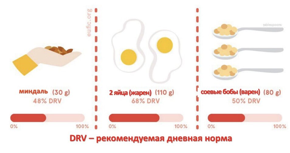 Небольшой набор продуктов полностью покрывает потребность организма в биотине