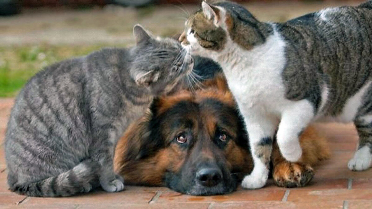 источник фото: user.vse42.ru