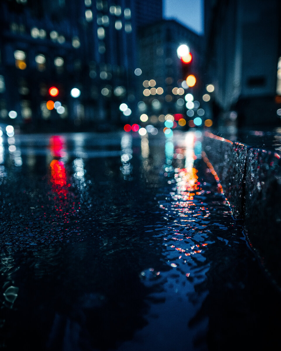 Фото из открытых источников в интернете (автор:   StockSnap, фотосток Pixabay.com)