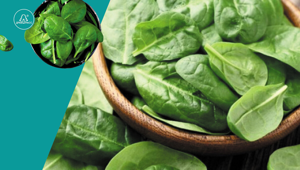 В шпинате содержится очень полезная для наших сосудов альфа-липоевая кислота.