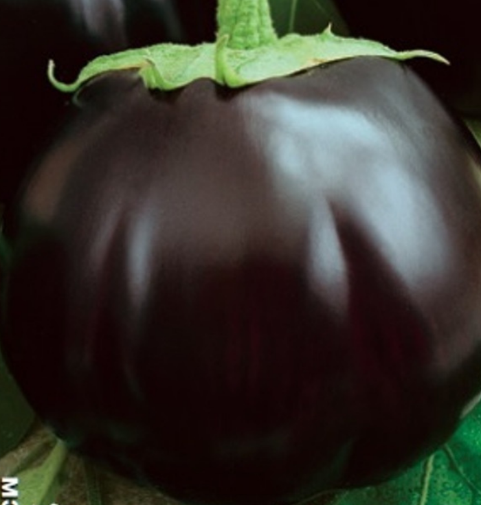 Баклажан "Чёрная магия"
