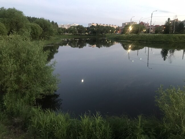 В спокойной воде отражается луна