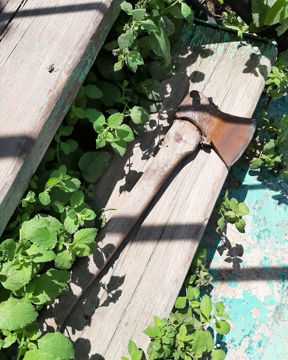 Фото автора