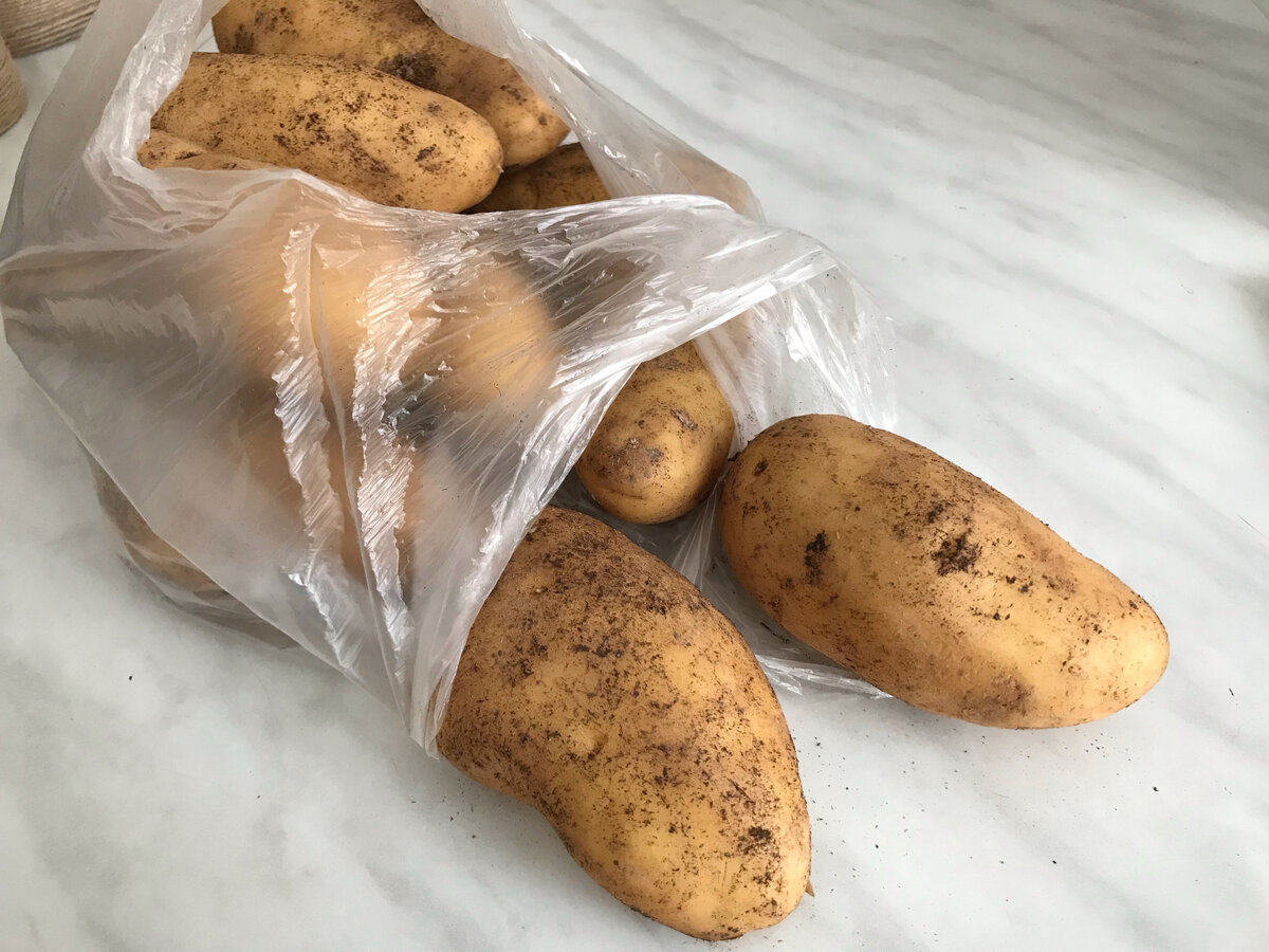 Магазинные пакеты имеют свойство рваться в самый неподходящий момент