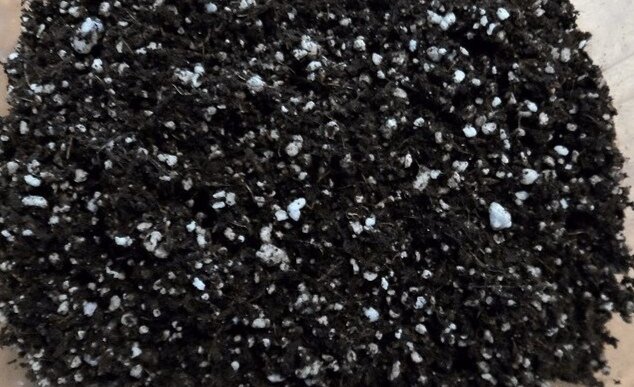 Идеальный грунт для фиалочек🌸