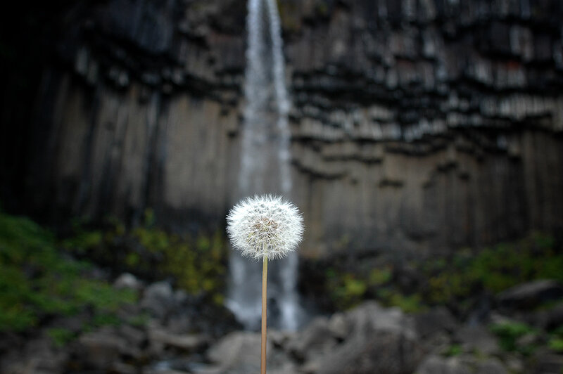 At Svartifoss, Iceland. Фотография гениального фотохудожника Николая Щербака. https://www.flickr.com/photos/niknik38/