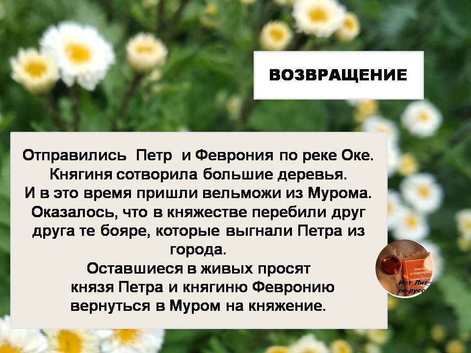 Авторские фотографии и коллажи 