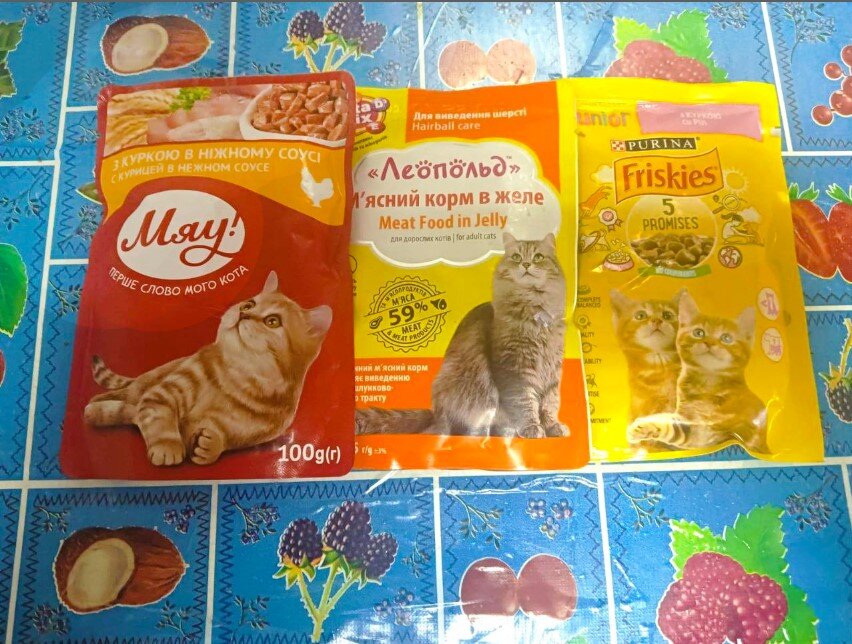 Как правильно кормить кошку: сухой корм против натуральной пищи | Кот  Чебурек и его друзья | Дзен