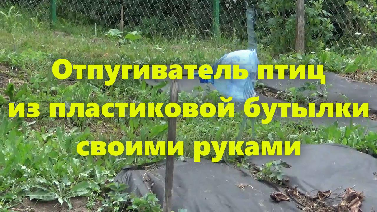 Как сделать огородное пугало-чучело своими руками | Купить электронное пугало | Фото и картинки