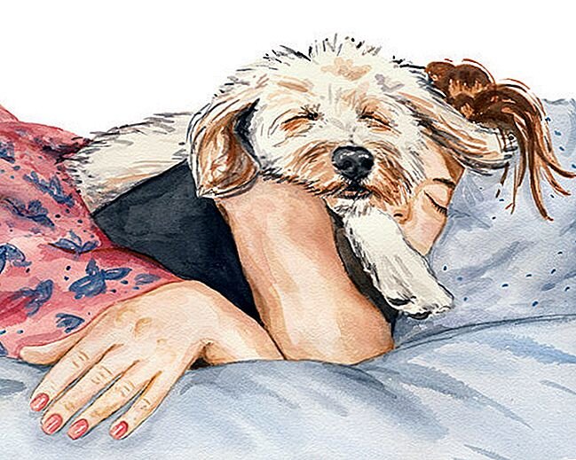 Рисунок из открытых источников
