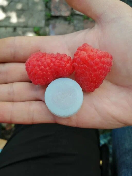 Крупная ягода, для сравнения пробка от бутылки