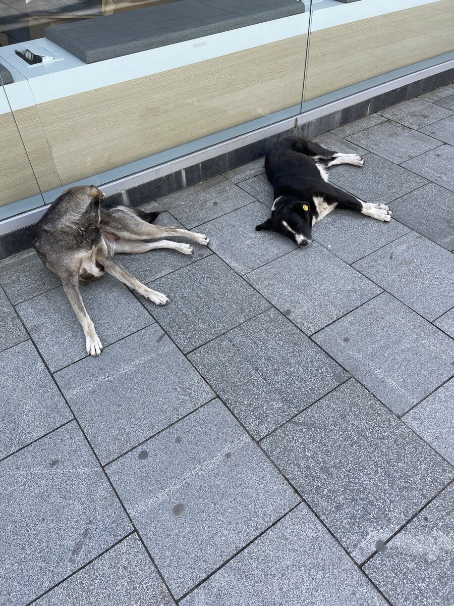 -1-2